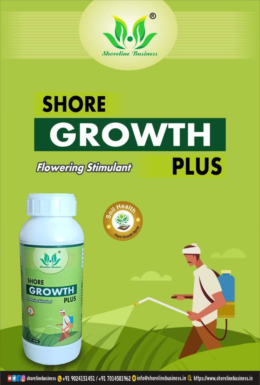 SHORE GROWTH PLUS