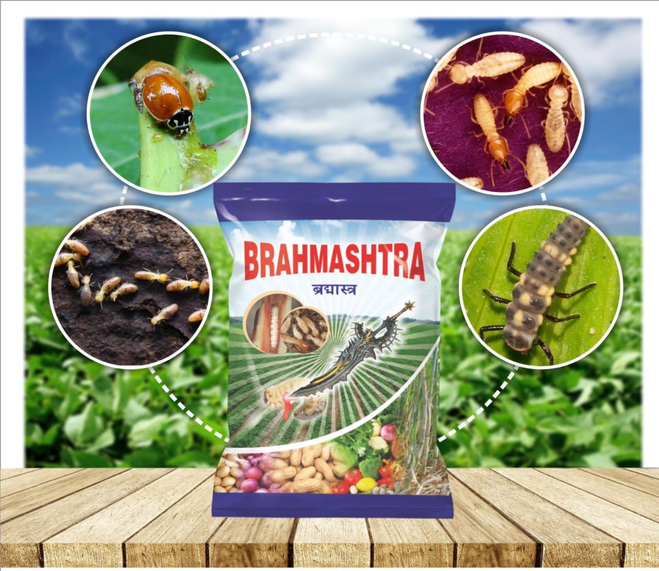 SHORE BRAHAMSTRA (White Grub-Termite Control 1Kg)