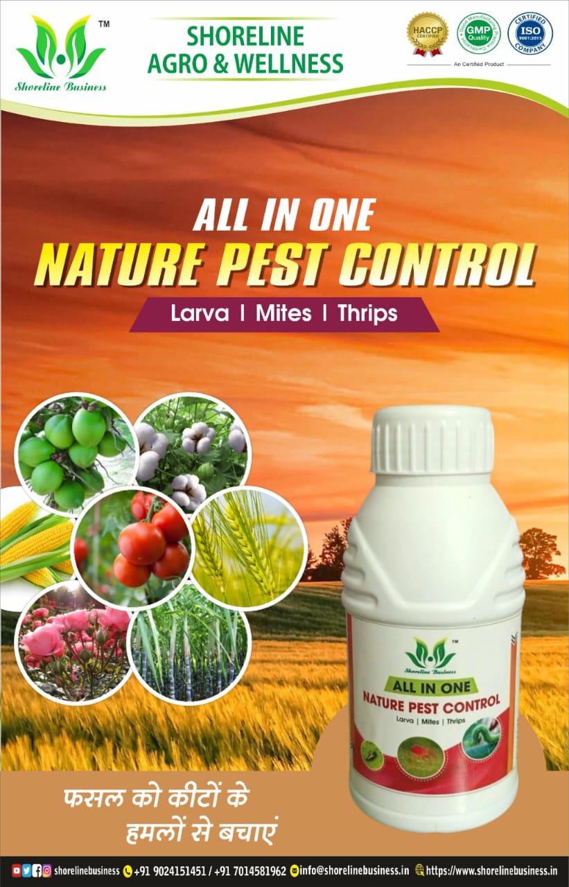 ALL IN ONE (NATURE PEST CONTROL)