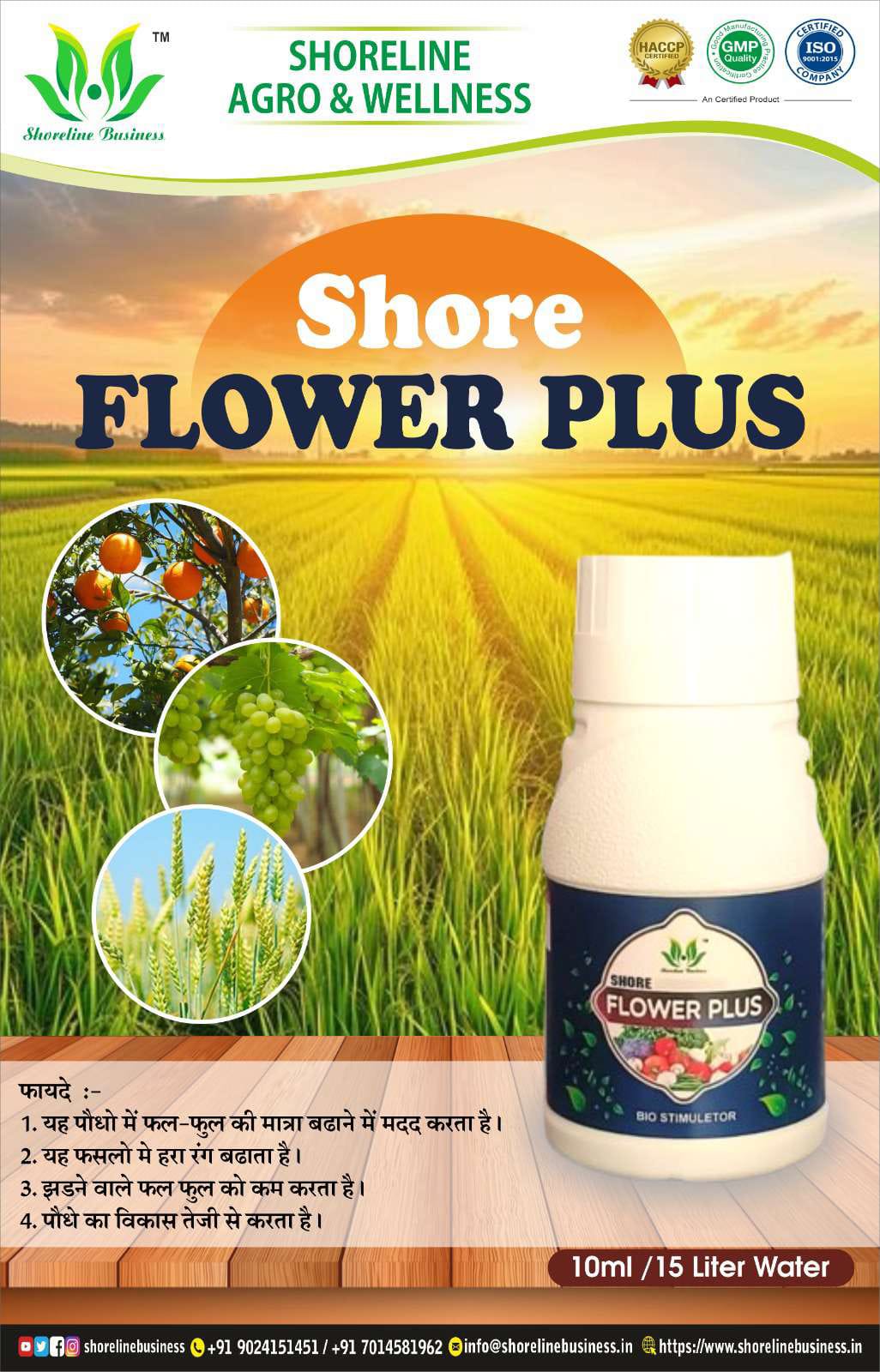 SHORE FLOWER PLUS